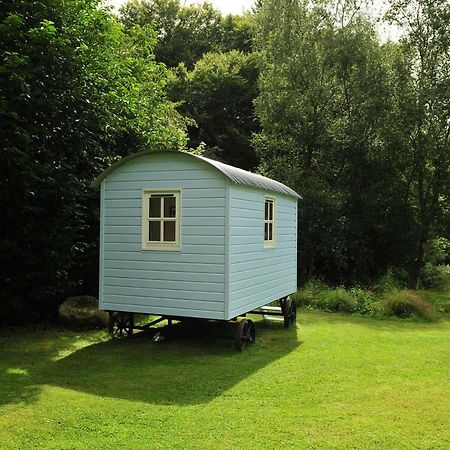 Blackstairs Shepherds Huts Killedmond Zewnętrze zdjęcie