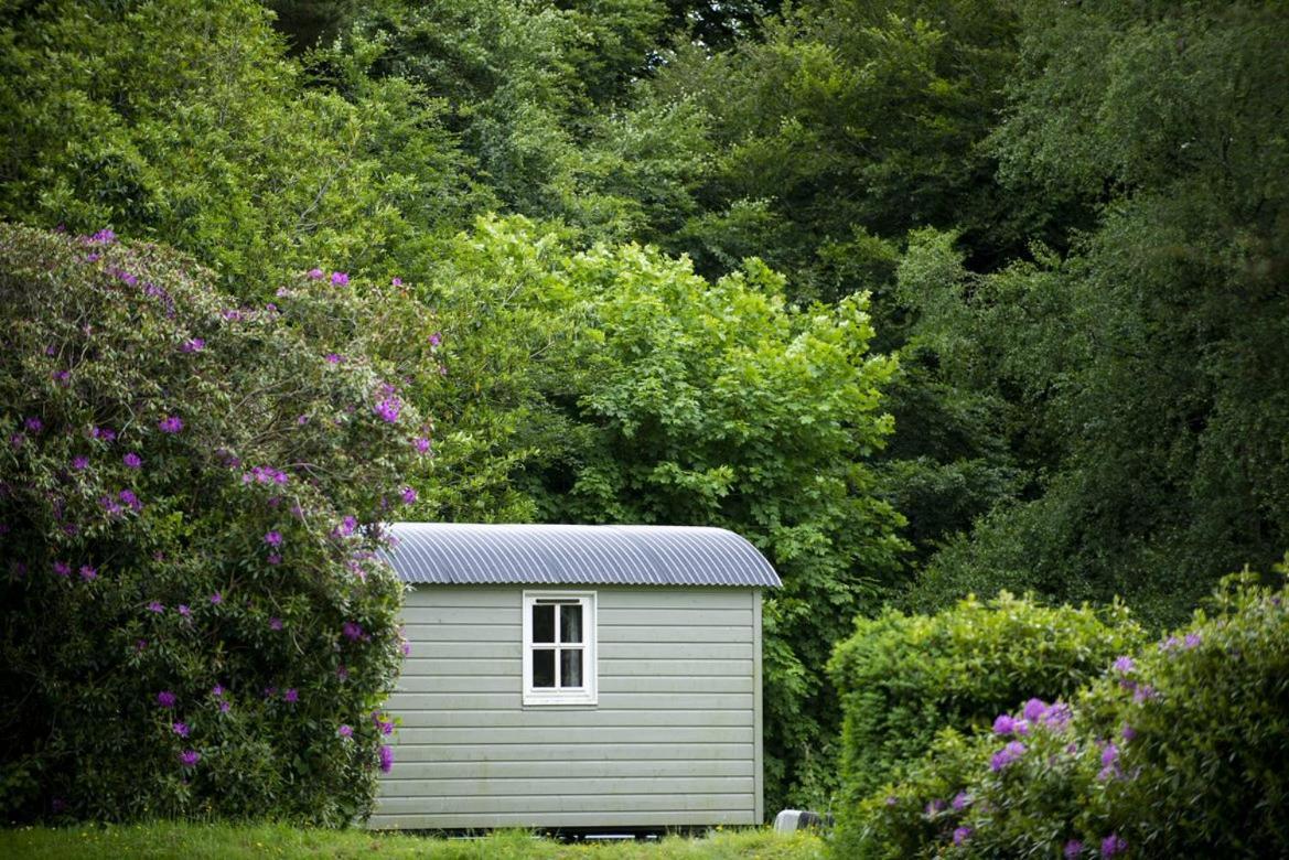 Blackstairs Shepherds Huts Killedmond Zewnętrze zdjęcie