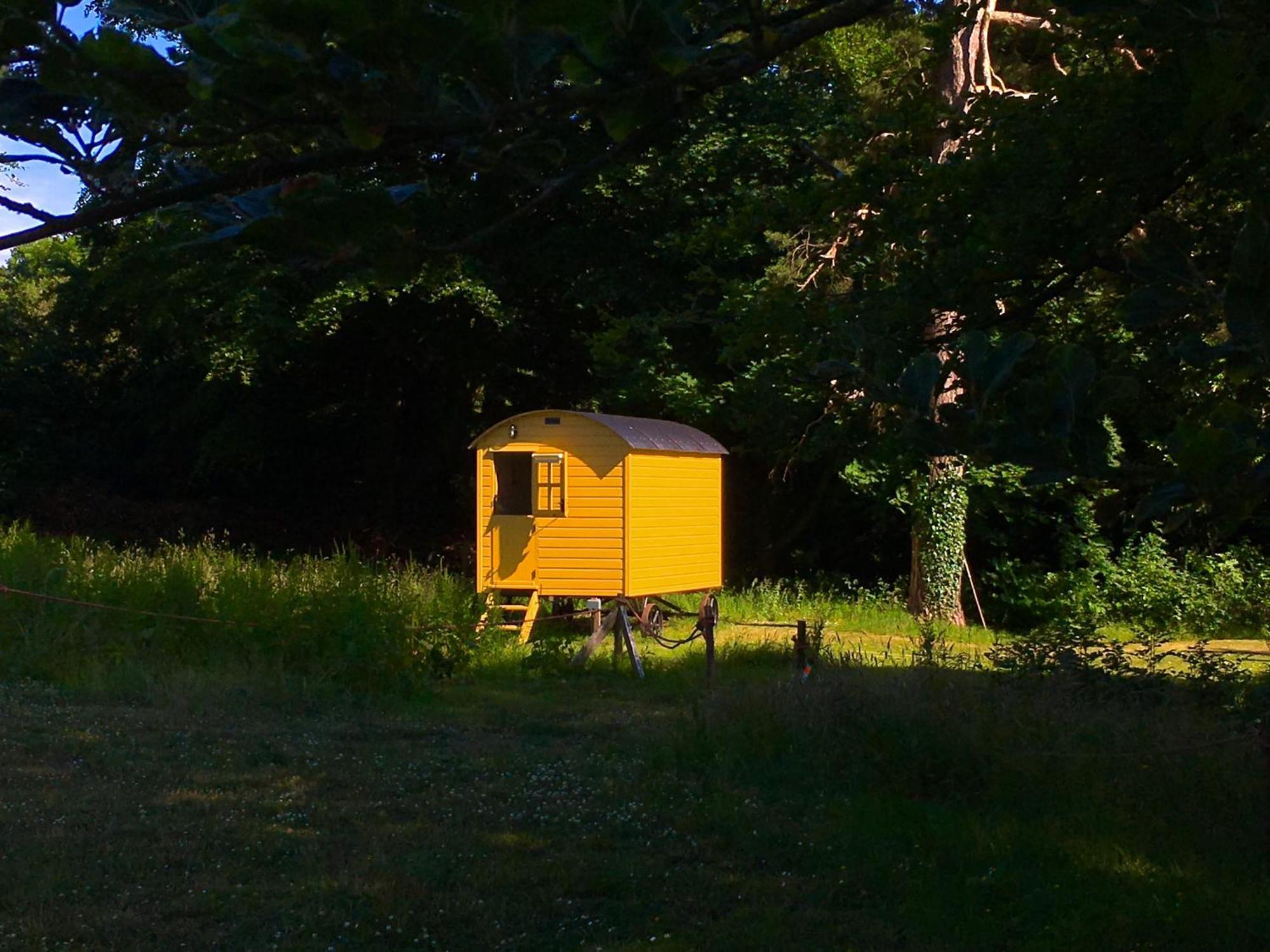 Blackstairs Shepherds Huts Killedmond Zewnętrze zdjęcie