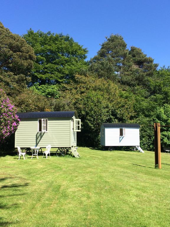 Blackstairs Shepherds Huts Killedmond Zewnętrze zdjęcie