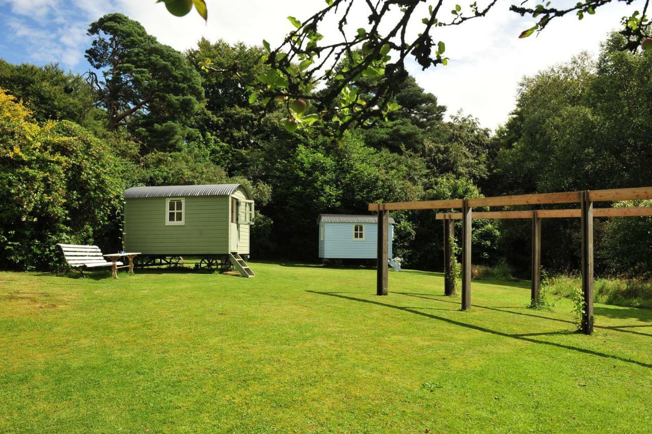 Blackstairs Shepherds Huts Killedmond Zewnętrze zdjęcie