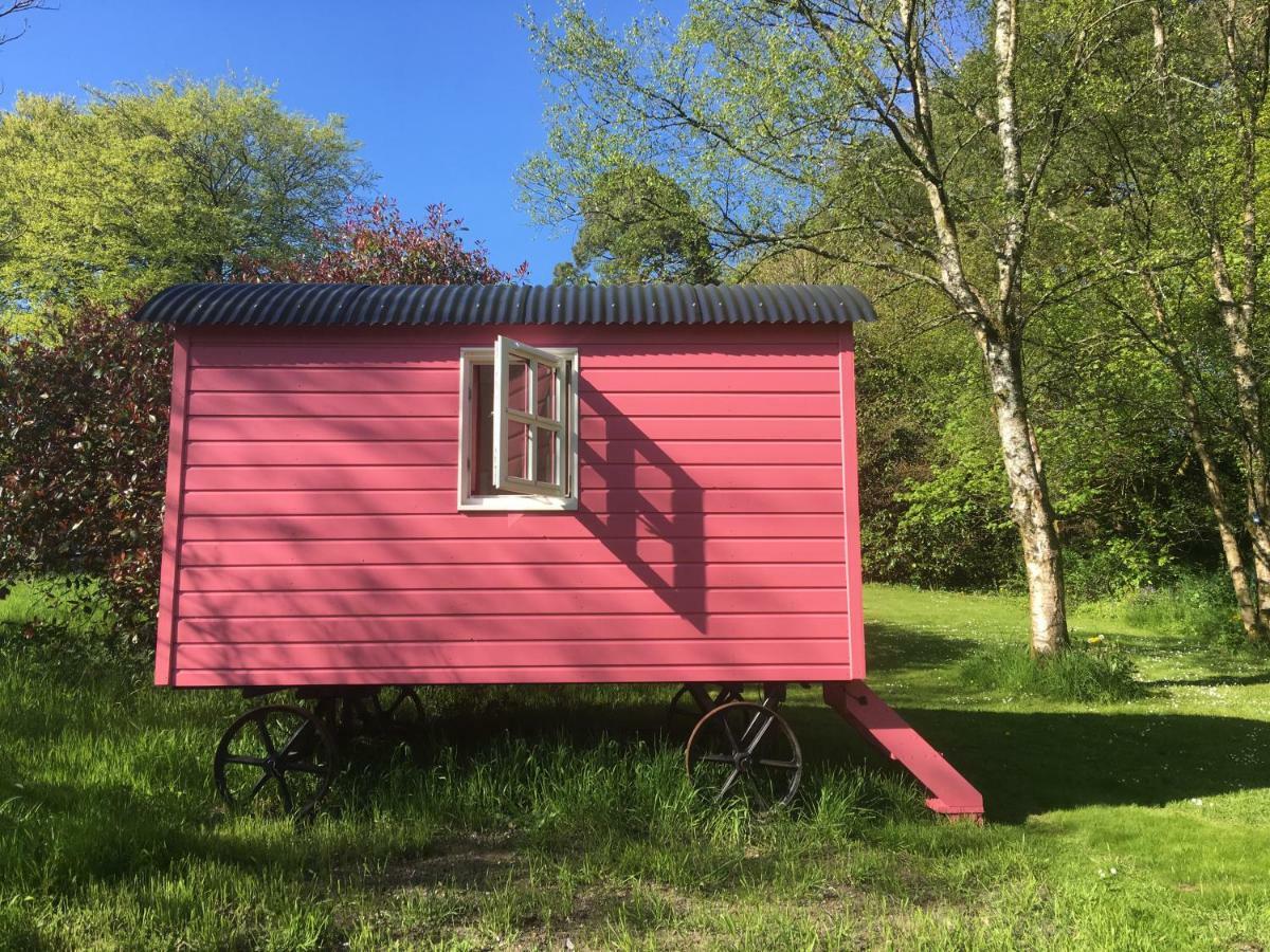 Blackstairs Shepherds Huts Killedmond Zewnętrze zdjęcie