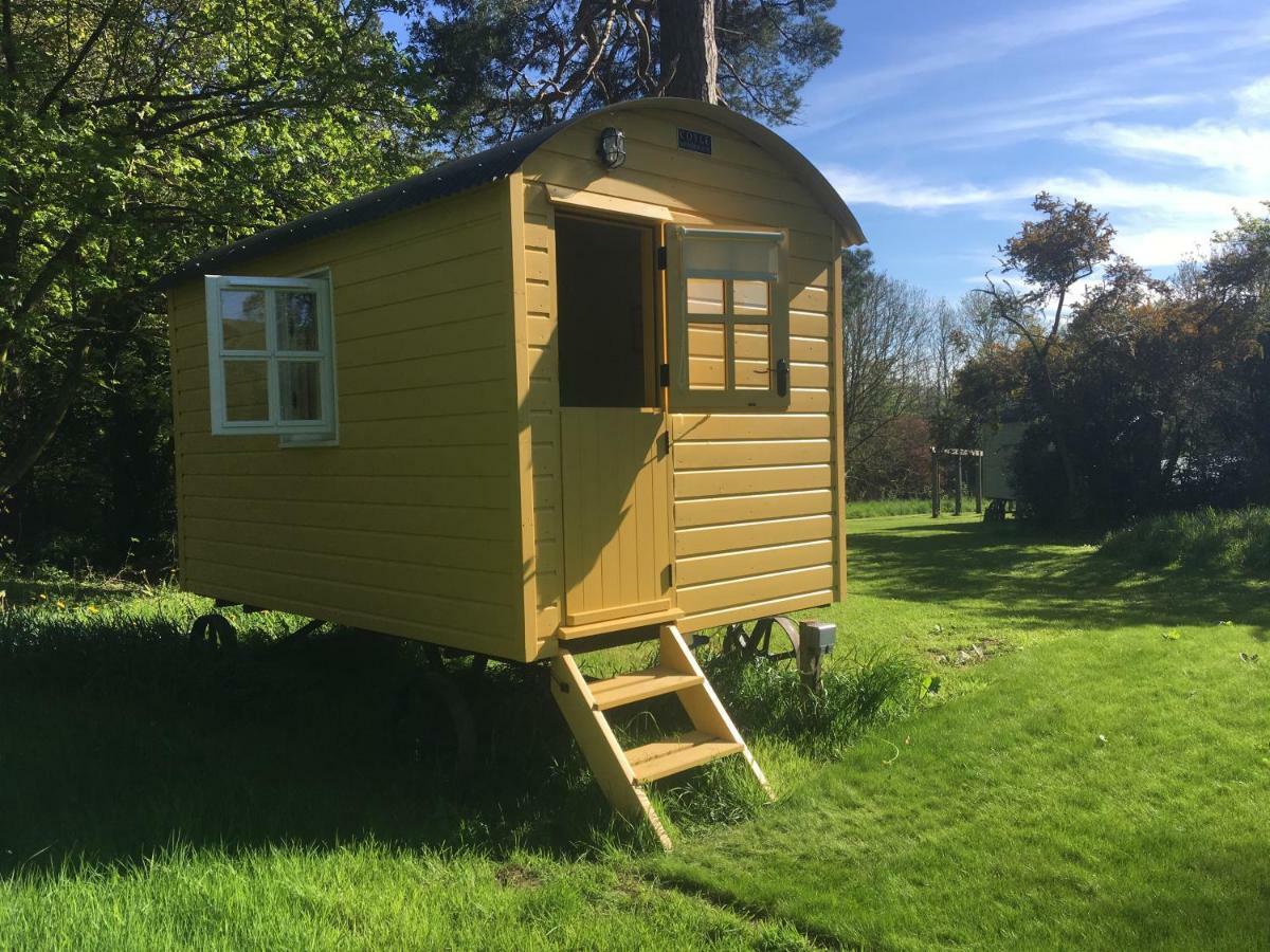 Blackstairs Shepherds Huts Killedmond Zewnętrze zdjęcie